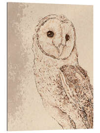 Stampa su plexi-alluminio Endearing Barn Owl