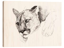 Wood print Sketch Of A Captived Mountain Lion