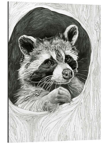 Stampa su alluminio Raccoon In A Hollow Tree Sketch