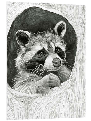 Tableau en PVC Raccoon In A Hollow Tree Sketch