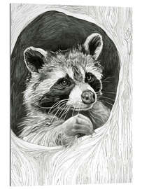 Quadro em plexi-alumínio Raccoon In A Hollow Tree Sketch