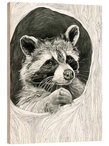 Hout print Raccoon In A Hollow Tree Sketch