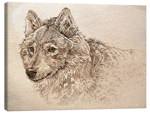 Obraz na płótnie The Gray Wolf