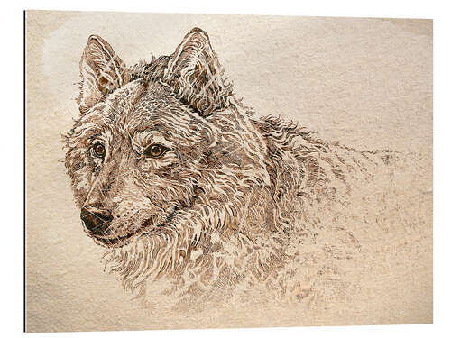 Galleriprint The Gray Wolf