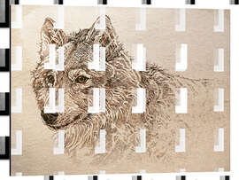 Magnettafel Grauwolf Studie