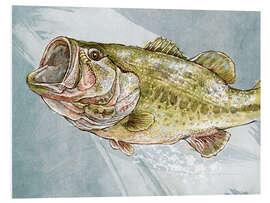 Foam board print Magnificent Largemouth Bass