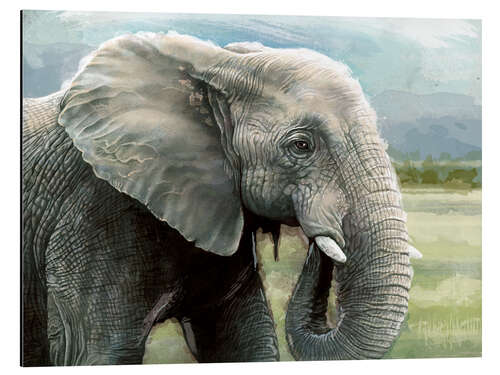 Aluminium print African Elephant In The Savanna Wilds