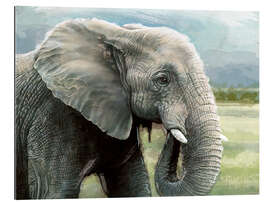 Cuadro de plexi-alu African Elephant In The Savanna Wilds