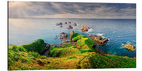 Aluminium print New Zealand Nugget Point