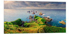 Quadro em PVC New Zealand Nugget Point