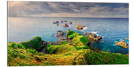 Gallery Print Neuseeland Nugget Point