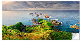 Selvklebende plakat New Zealand Nugget Point