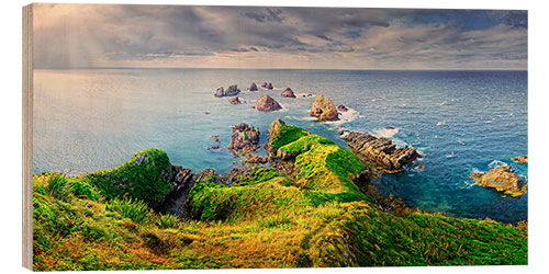 Trebilde New Zealand Nugget Point