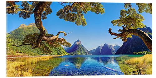 Stampa su vetro acrilico Look in the Milford Sound New Zealand