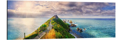 Alubild Nugget Point Panorama Neuseeland