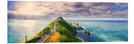 Tableau en PVC Nugget Point Panorama New Zealand