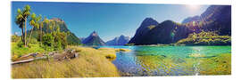 Acrylic print Milford Sound with palms New Zealand