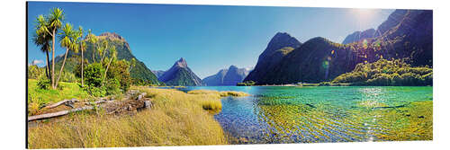 Aluminium print Milford Sound with palms New Zealand