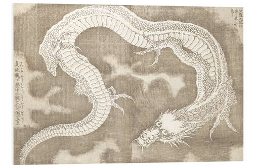 Print på skumplade Dragon (Picture Book on Heroes of China and Japan)