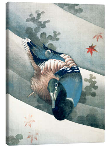 Tableau sur toile Canard nageant dans l'eau