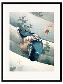 Framed art print Duck Swimming in Water