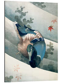 Magnettafel Ente schwimmt im Wasser