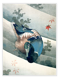 Póster  Pato nadando en el agua - Katsushika Hokusai