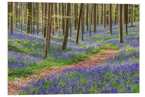 PVC print Path through the blue forest