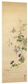 Foam board print Sparrows and morning glory