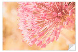 Wall sticker Creamy Summer - Allium in Pink