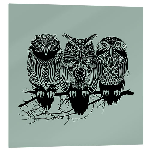 Acrylic print OWLSNILE