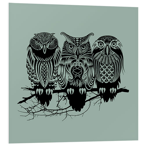 Foam board print OWLSNILE