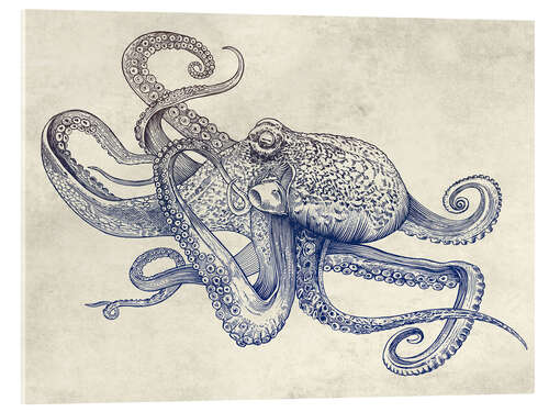 Acrylic print OCTO