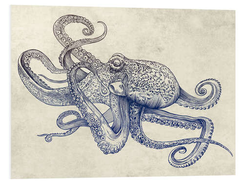 Foam board print OCTO