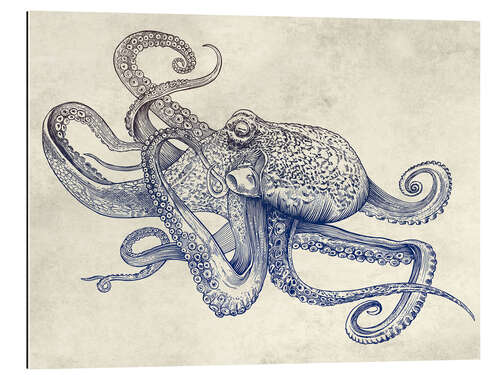 Gallery print OCTO