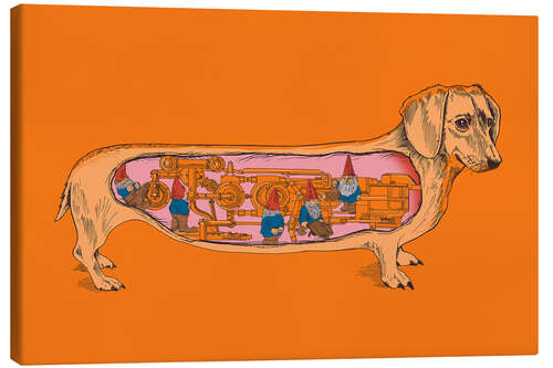 Canvas print dachshund