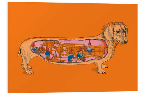 Foam board print dachshund