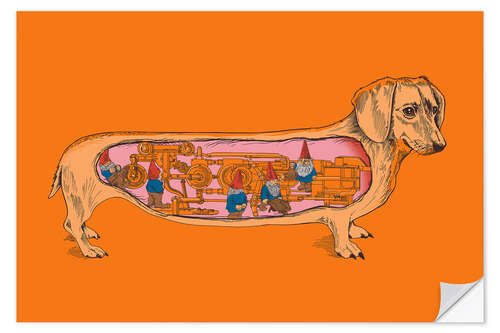 Vinilo para la pared dachshund
