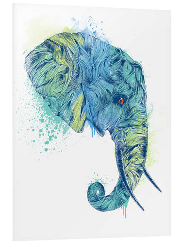 Stampa su PVC Elephant Head