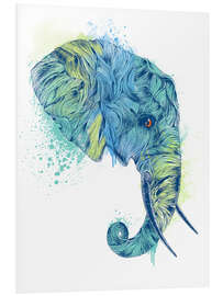 Stampa su PVC Elephant Head