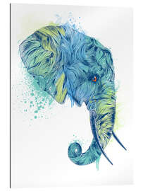 Galleriprint Elephant Head