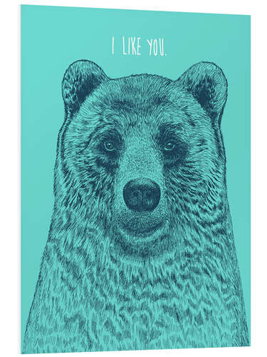 Foam board print BEAR PRINT