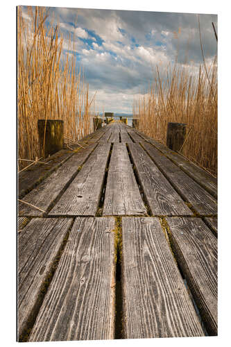 Gallery print Longe jetty