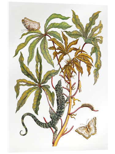 Akryylilasitaulu cassava with crocodile and butterfly metamorphosis