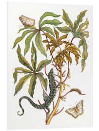 Foam board print Cassava, lizard and butterfly