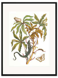 Gerahmter Kunstdruck Maniok mit Krokodil und Schmetterling Metamorphose