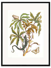 Framed art print Cassava, lizard and butterfly