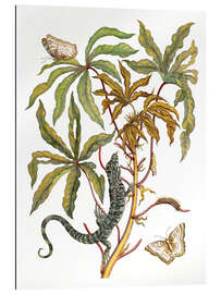 Gallery print Cassava, lizard and butterfly