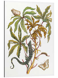 Magnettafel Maniok mit Krokodil und Schmetterling Metamorphose