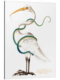 Magnettafel Reiher umkreist von einer Schlange, mit einem Wurm in seinem Schnabel